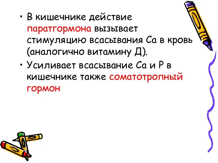 В кишечнике действие паратгормона вызывает стимуляцию всасывания Са в кровь (аналогично