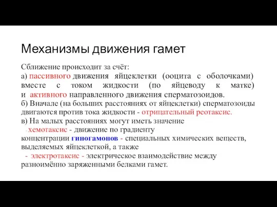 Механизмы движения гамет Сближение происходит за счёт: а) пассивного движения яйцеклетки