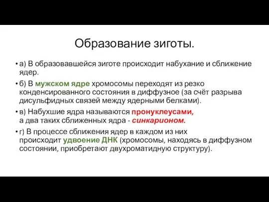 Образование зиготы. а) В образовавшейся зиготе происходит набухание и сближение ядер.