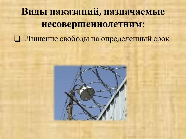 Виды наказаний, назначаемые несовершеннолетним: Лишение свободы на определенный срок