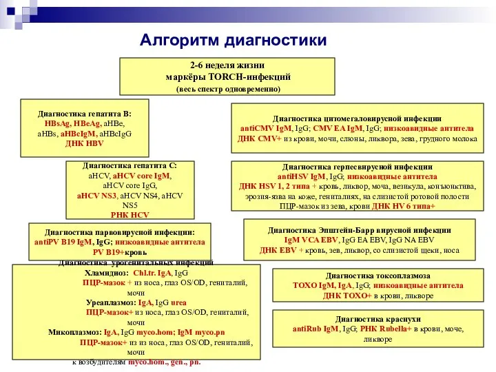 Алгоритм диагностики Диагностика гепатита В: HBsAg, HBeAg, aHBe, aHBs, aHBcIgM, aHBcIgG