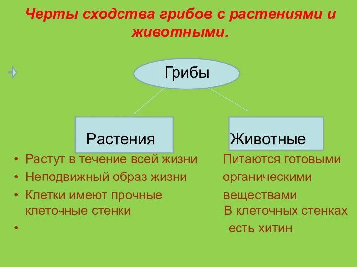 Черты сходства грибов с растениями и животными. Грибы Растения Животные Растут