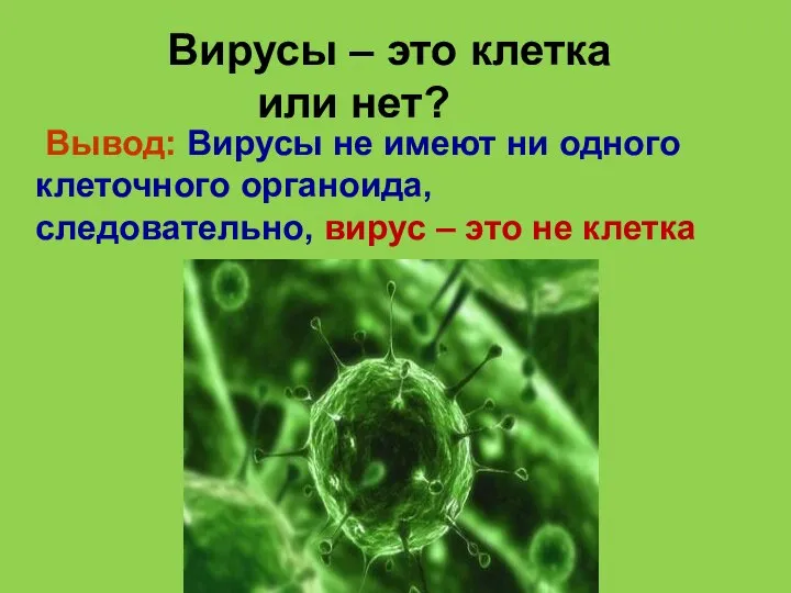 Вывод: Вирусы не имеют ни одного клеточного органоида, следовательно, вирус –