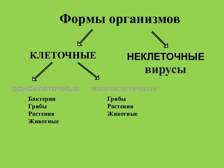 Формы организмов НЕКЛЕТОЧНЫЕ вирусы