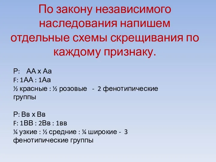 По закону независимого наследования напишем отдельные схемы скрещивания по каждому признаку.