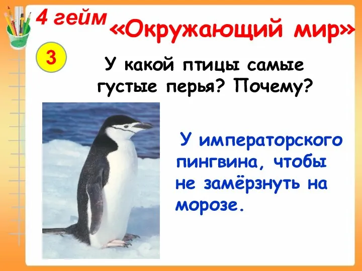 4 гейм «Окружающий мир» 3 У какой птицы самые густые перья?