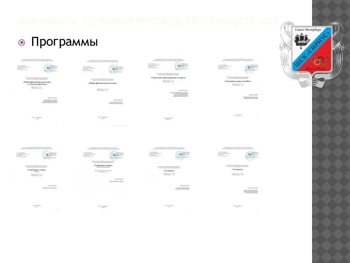 ДОКУМЕНТЫ, РЕГЛАМЕНТИРУЮЩИЕ ДЕЯТЕЛЬНОСТЬ ШСК Программы