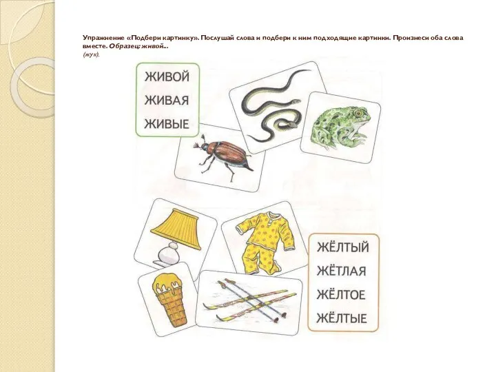 Упражнение «Подбери картинку». Послушай слова и подбери к ним подходящие картинки.