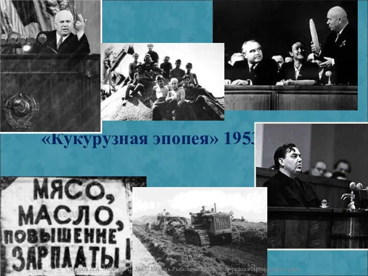 «Кукурузная эпопея» 1953-1964 гг. Чупров Л.А. МОУ СОШ №3 с. Камень-Рыболов Ханкайского района Приморского края