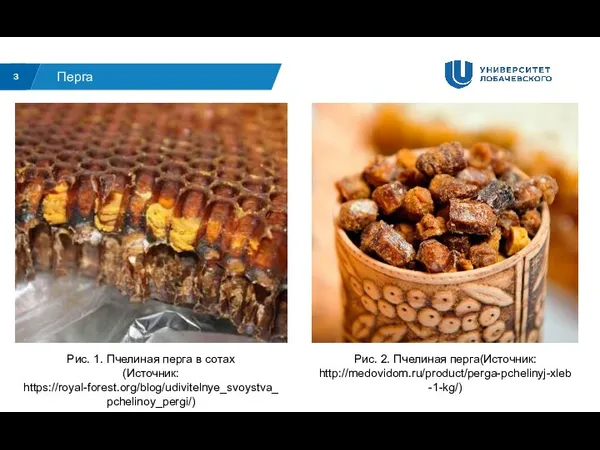 3 Перга Рис. 1. Пчелиная перга в сотах (Источник: https://royal-forest.org/blog/udivitelnye_svoystva_pchelinoy_pergi/) Рис. 2. Пчелиная перга(Источник: http://medovidom.ru/product/perga-pchelinyj-xleb-1-kg/)