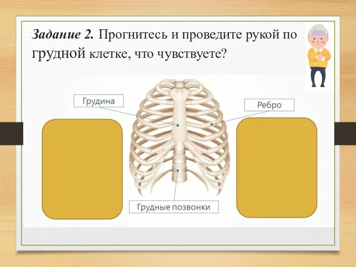 Задание 2. Прогнитесь и проведите рукой по грудной клетке, что чувствуете?