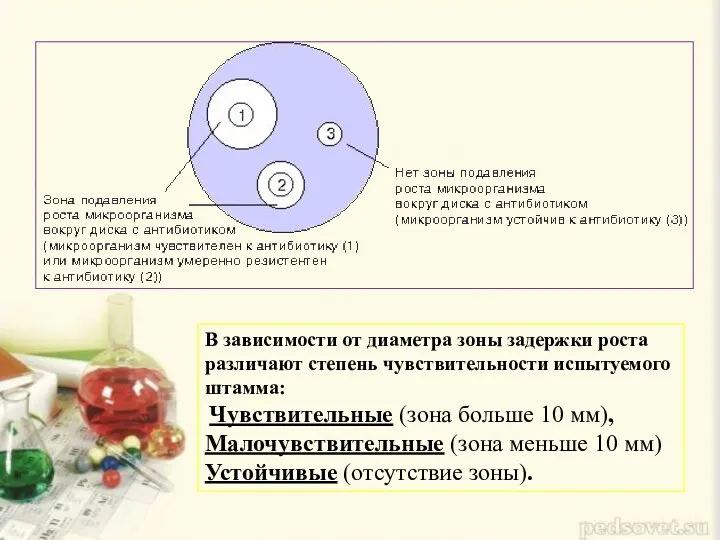 В зависимости от диаметра зоны задержки роста различают степень чувствительности испытуемого