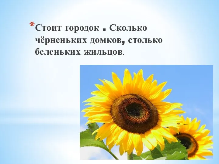 Стоит городок . Сколько чёрненьких домков, столько беленьких жильцов.