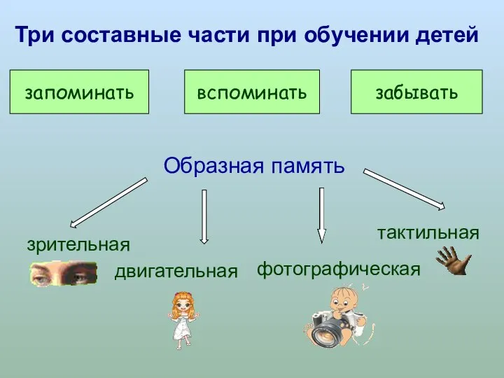 запоминать вспоминать забывать Три составные части при обучении детей Образная память зрительная фотографическая тактильная двигательная