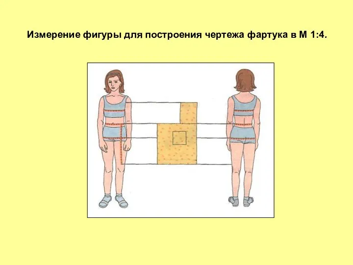 Измерение фигуры для построения чертежа фартука в М 1:4.