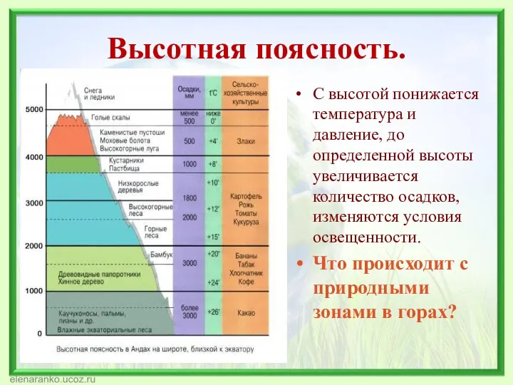 Высотная поясность. С высотой понижается температура и давление, до определенной высоты