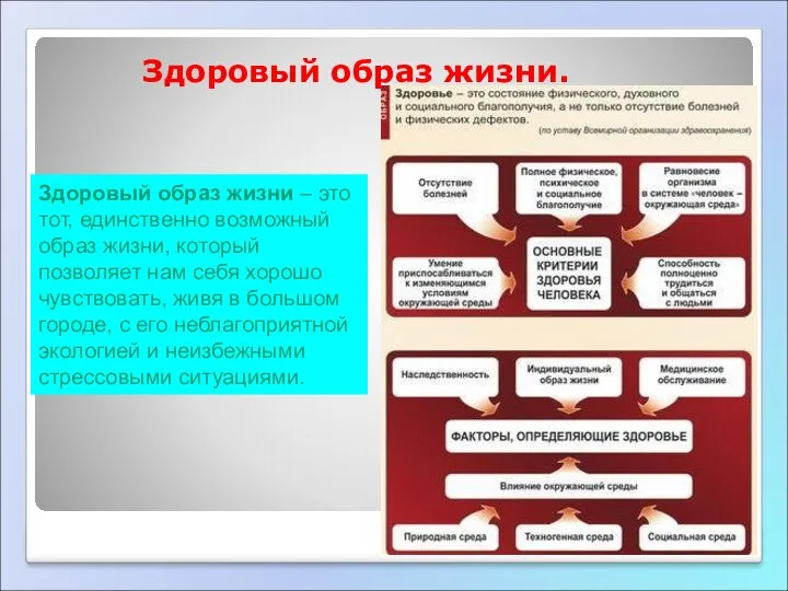 Здоровый образ жизни. Здоровый образ жизни – это тот, единственно возможный