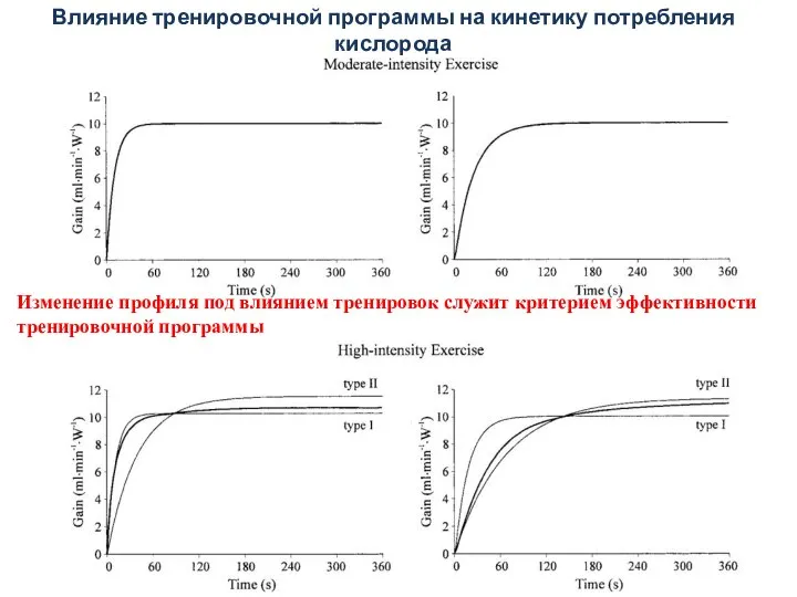 Влияние тренировочной программы на кинетику потребления кислорода Изменение профиля под влиянием