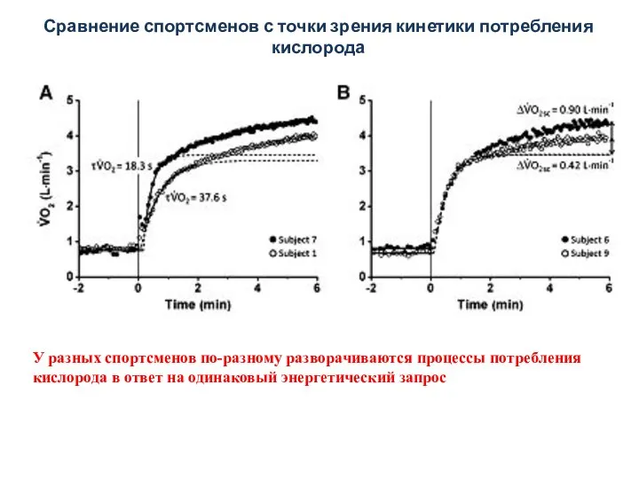 Сравнение спортсменов с точки зрения кинетики потребления кислорода У разных спортсменов