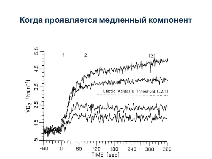 Когда проявляется медленный компонент