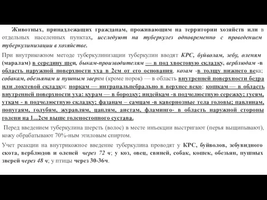 Животных, принадлежащих гражданам, проживающим на территории хозяйств или в отдельных населенных