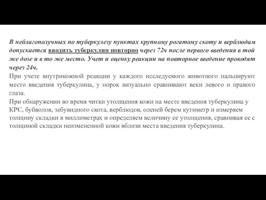 В неблагополучных по туберкулезу пунктах крупному рогатому скоту и верблюдам допускается