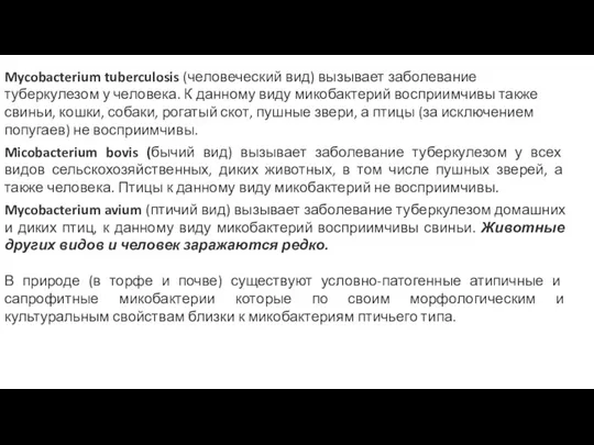 Mycobacterium tuberculosis (человеческий вид) вызывает заболевание туберкулезом у человека. К данному