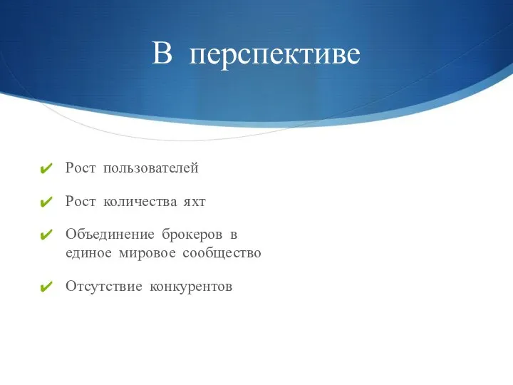 В перспективе Рост пользователей Рост количества яхт Объединение брокеров в единое мировое сообщество Отсутствие конкурентов