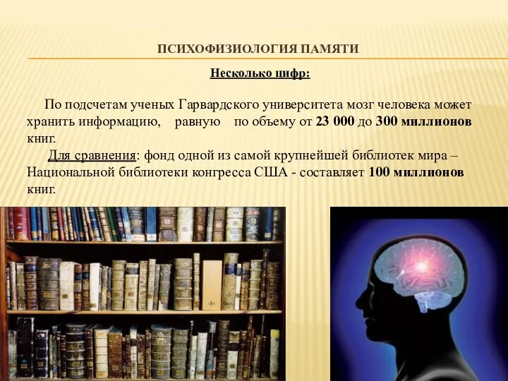 ПСИХОФИЗИОЛОГИЯ ПАМЯТИ Несколько цифр: По подсчетам ученых Гарвардского университета мозг человека