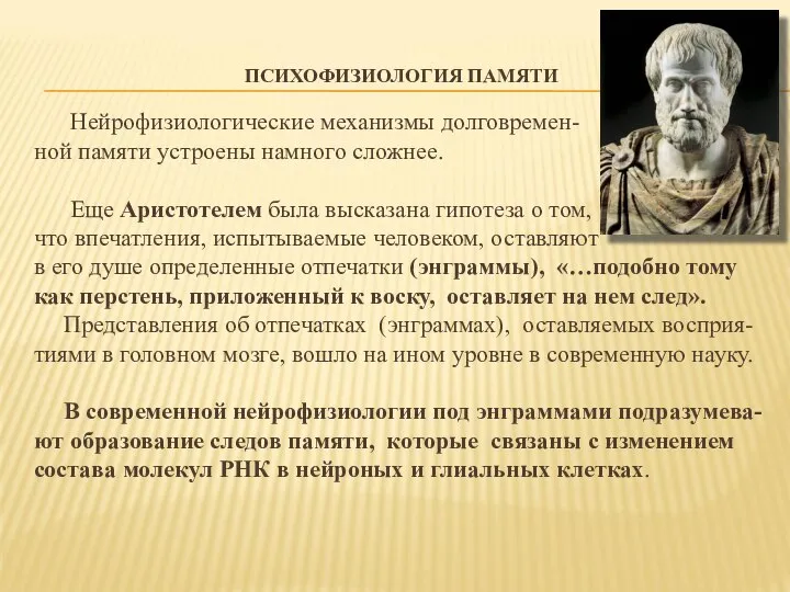 ПСИХОФИЗИОЛОГИЯ ПАМЯТИ Нейрофизиологические механизмы долговремен- ной памяти устроены намного сложнее. Еще