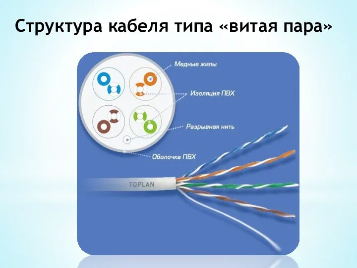 Структура кабеля типа «витая пара»