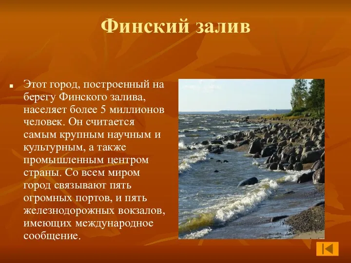 Финский залив Этот город, построенный на берегу Финского залива, населяет более