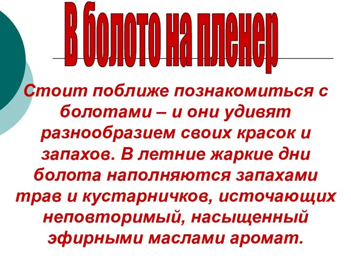 В болото на пленер Стоит поближе познакомиться с болотами – и