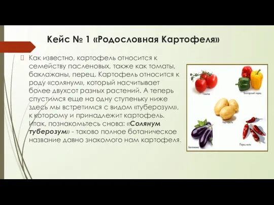 Кейс № 1 «Родословная Картофеля» Как известно, картофель относится к семейству