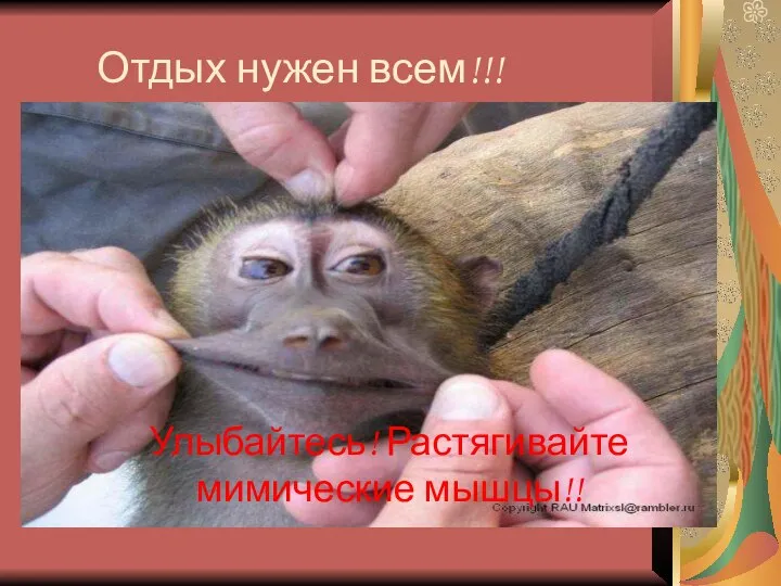 Отдых нужен всем!!! Улыбайтесь! Растягивайте мимические мышцы!! Отдых нужен всем!!!