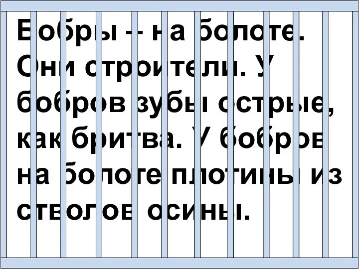 Бобры – на болоте. Они строители. У бобров зубы острые, как