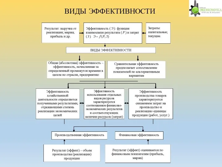 ВИДЫ ЭФФЕКТИВНОСТИ