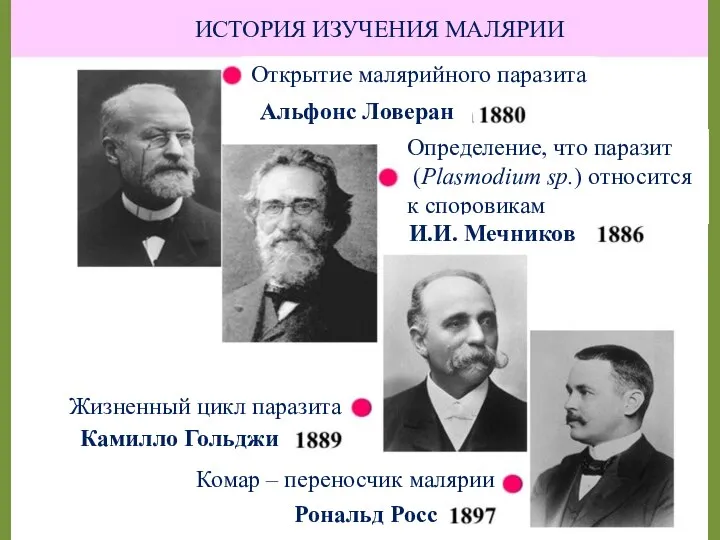 ИСТОРИЯ ИЗУЧЕНИЯ МАЛЯРИИ Открытие малярийного паразита Определение, что паразит (Plasmodium sp.)