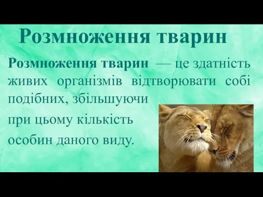 Розмноження тварин Розмноження тварин — це здатність живих організмів відтворювати собі