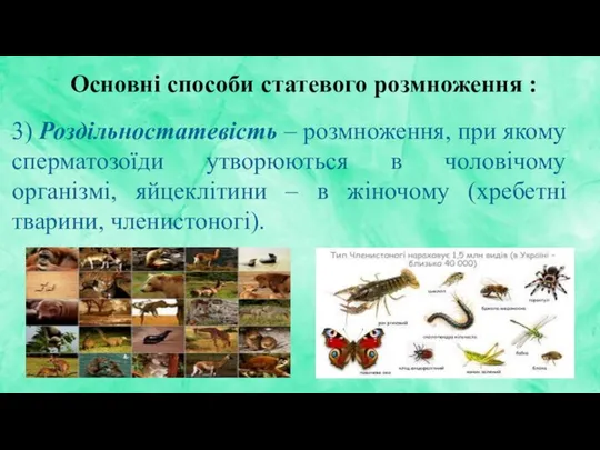 Основні способи статевого розмноження : 3) Роздільностатевість – розмноження, при якому