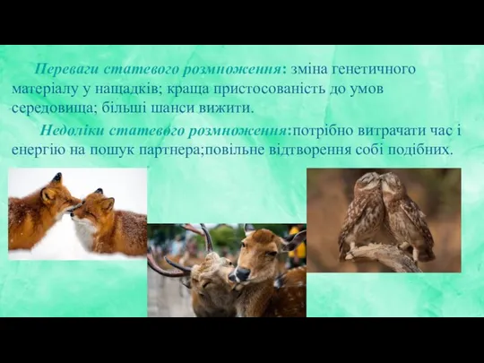 Переваги статевого розмноження: зміна генетичного матеріалу у нащадків; краща пристосованість до