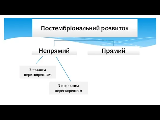 З повним перетворенням З неповним перетворенням