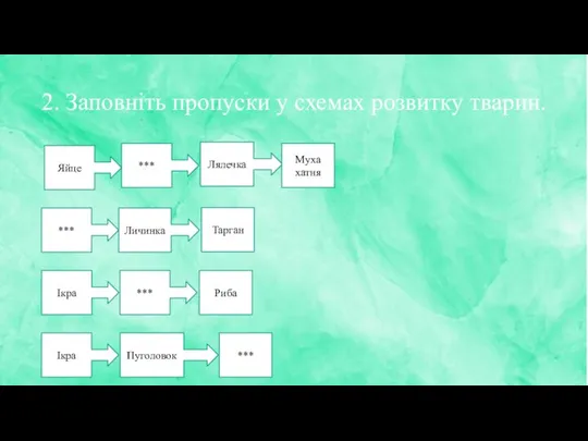 2. Заповніть пропуски у схемах розвитку тварин. Яйце *** Лялечка ***