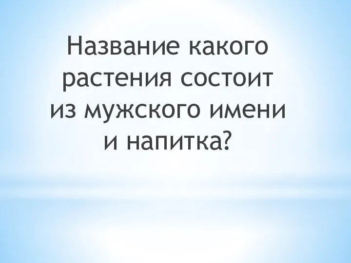 Название какого растения состоит из мужского имени и напитка?