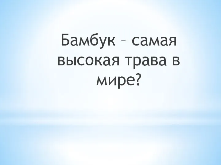 Бамбук – самая высокая трава в мире?