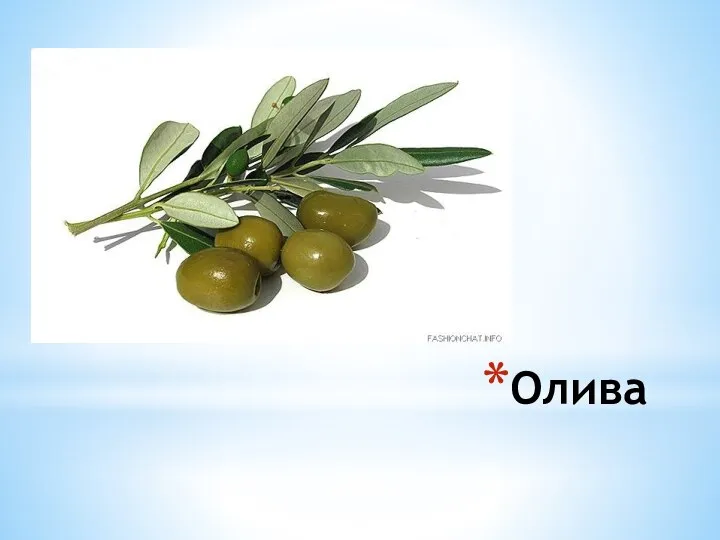 Олива