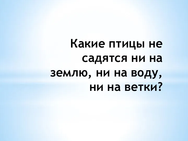 Какие птицы не садятся ни на землю, ни на воду, ни на ветки?