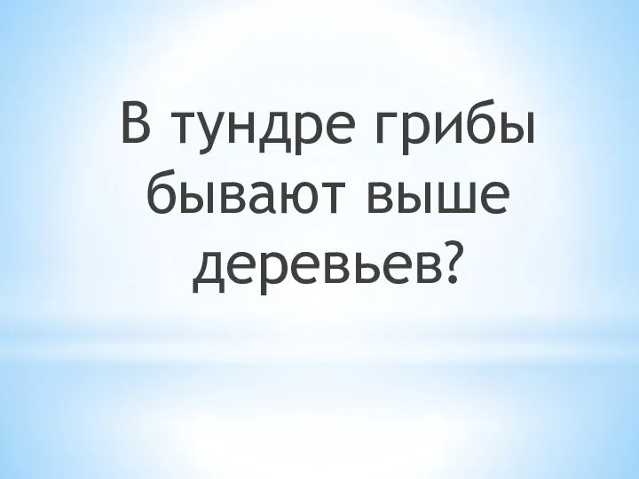 В тундре грибы бывают выше деревьев?