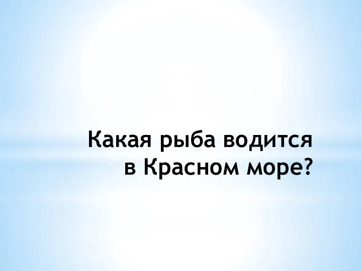 Какая рыба водится в Красном море?