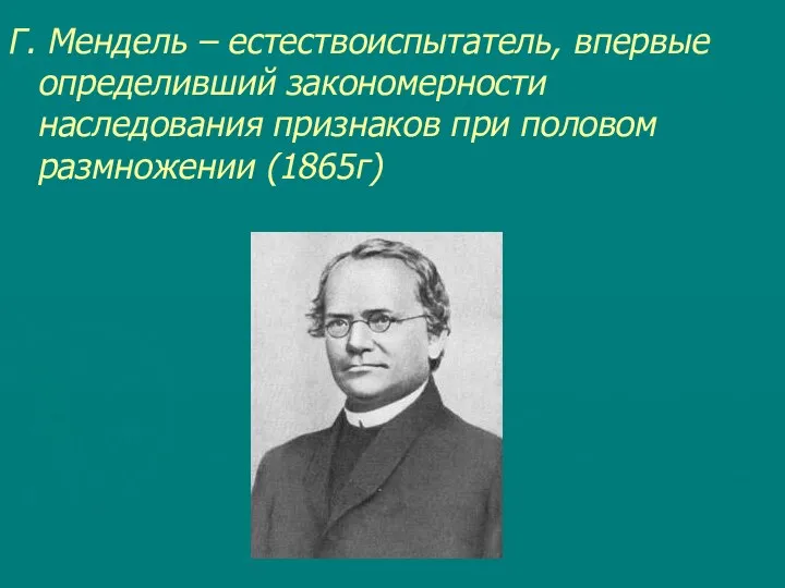 Г. Мендель – естествоиспытатель, впервые определивший закономерности наследования признаков при половом размножении (1865г)